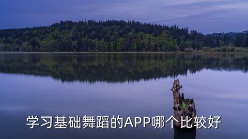 学习基础舞蹈的APP哪个比较好
