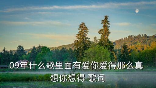 09年什么歌里面有爱你爱得那么真 想你想得 歌词