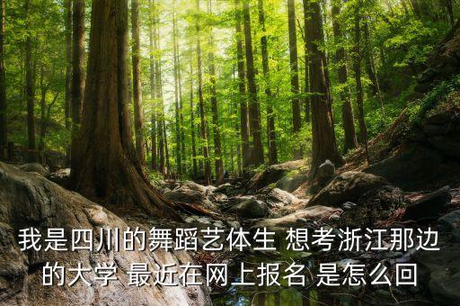 我是四川的舞蹈艺体生 想考浙江那边的大学 最近在网上报名 是怎么回