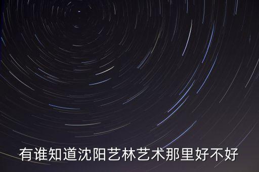 有谁知道沈阳艺林艺术那里好不好