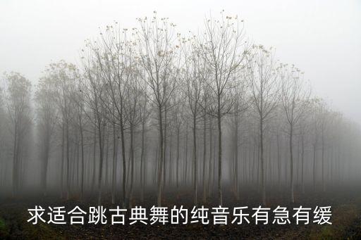 求适合跳古典舞的纯音乐有急有缓