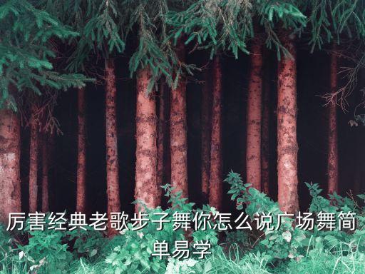 糖豆广场舞课堂简单恰恰你怎么说，厉害经典老歌步子舞你怎么说广场舞简单易学