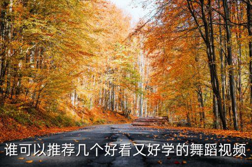 谁可以推荐几个好看又好学的舞蹈视频