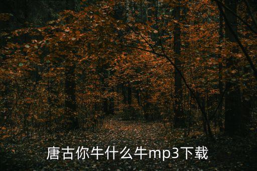 唐古你牛什么牛mp3下载
