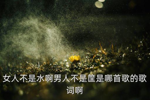 女人不是水啊男人不是筐是哪首歌的歌词啊