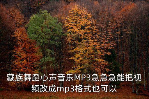 藏族舞蹈心声音乐MP3急急急能把视频改成mp3格式也可以
