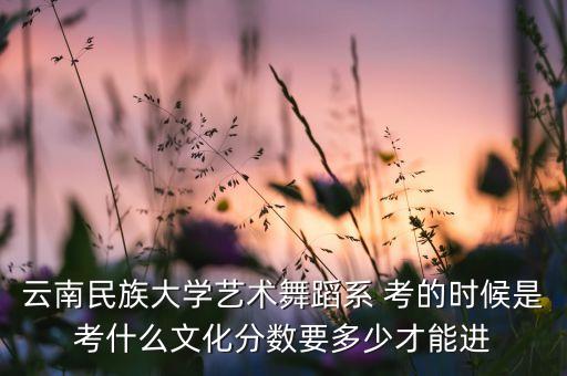 云南民族大学艺术舞蹈系 考的时候是考什么文化分数要多少才能进