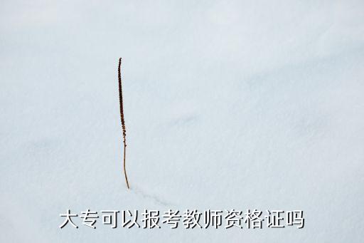 大专可以报考教师资格证吗