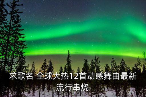 求歌名 全球大热12首动感舞曲最新流行串烧