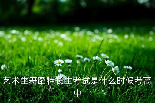 艺术生舞蹈特长生考试是什么时候考高中