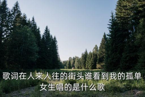 广场舞多少个城市的夜晚什么歌，南贤俊在开心100里最后跳的那个集体舞的歌有谁知道是什么歌急需