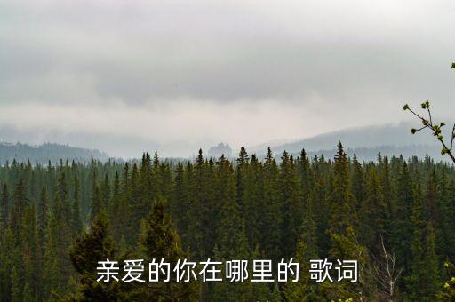 亲爱的你在哪里的 歌词