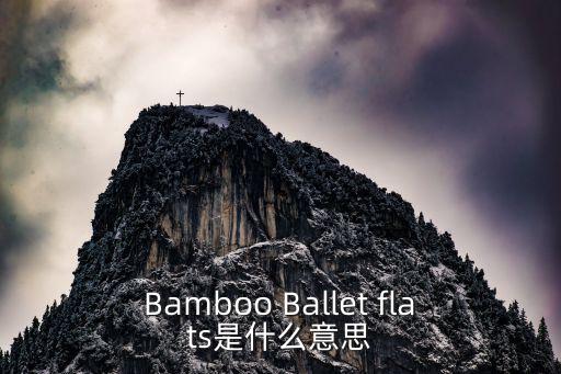 Bamboo Ballet flats是什么意思