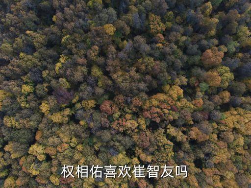 权相佑喜欢崔智友吗