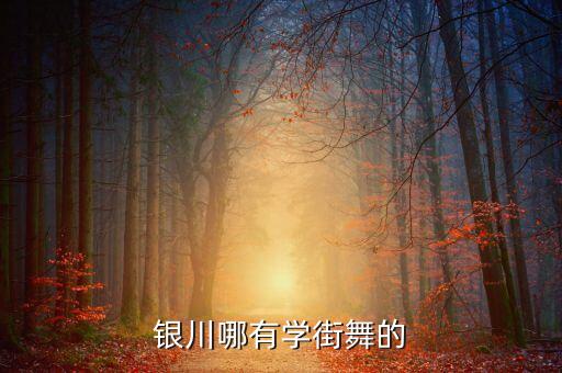 宁夏舞蹈学校有哪些，银川哪有学街舞的