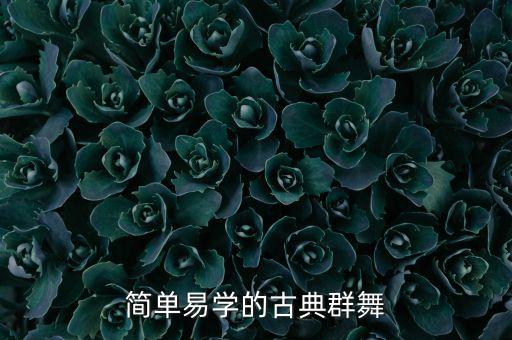 简单易学的古典群舞