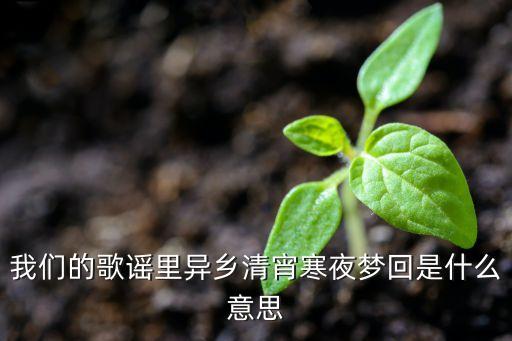 异乡清宵寒夜梦回什么意思，我们的歌谣里异乡清宵寒夜梦回是什么意思