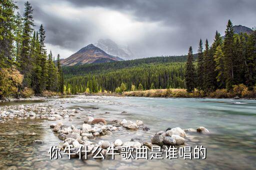 你牛什么牛歌曲是谁唱的