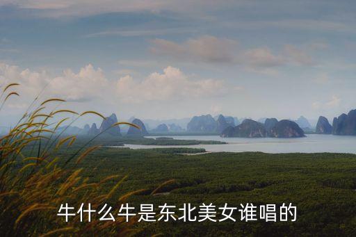 牛什么牛歌曲原唱，牛什么牛歌曲谁唱的