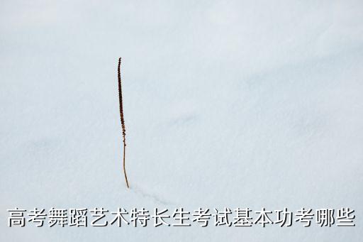 高考舞蹈艺术特长生考试基本功考哪些