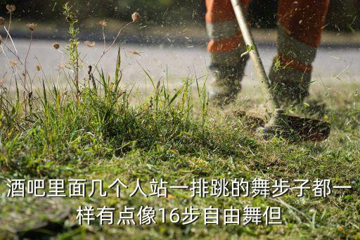 跳的步子是什么舞，酒吧里面几个人站一排跳的舞步子都一样有点像16步自由舞但
