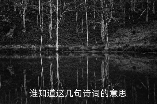 谁知道这几句诗词的意思