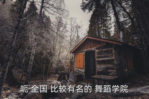 呃 全国 比较有名的 舞蹈学院