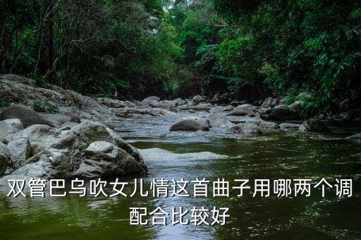 双管巴乌吹女儿情这首曲子用哪两个调配合比较好
