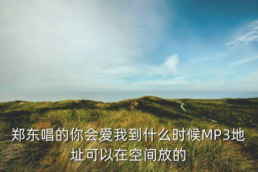 你爱我到什么时候 mp3，你会爱我到什么时候DJ
