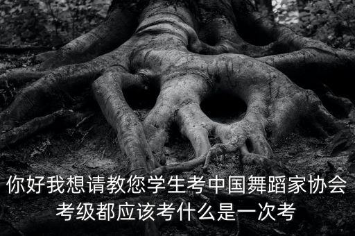 你好我想请教您学生考中国舞蹈家协会考级都应该考什么是一次考