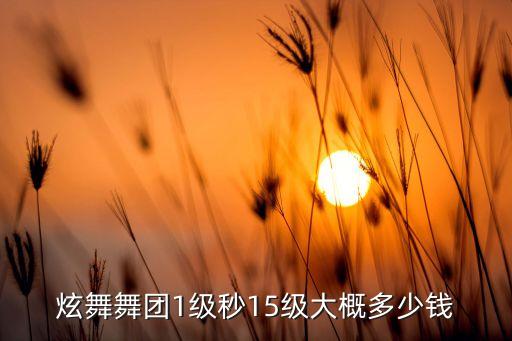 炫舞舞团1级秒15级大概多少钱