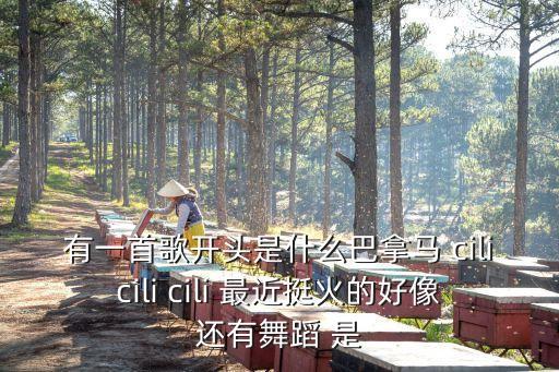 微笑健身球算是什么舞，有一首di舞曲是用手指顶鼻子上屁股左右晃
