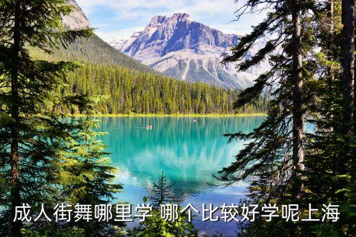 成人街舞哪里学 哪个比较好学呢上海