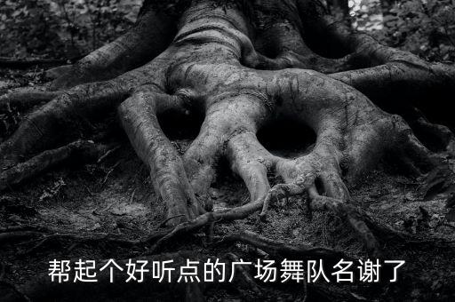 帮起个好听点的广场舞队名谢了