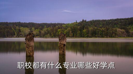职高有什么专业好学，高职高专学啥专业好