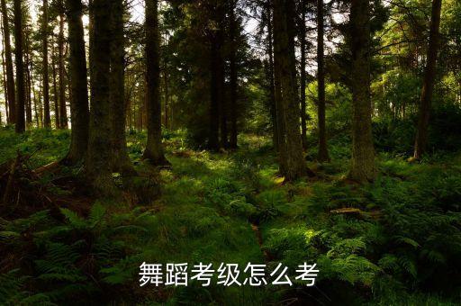 舞蹈考级怎么考