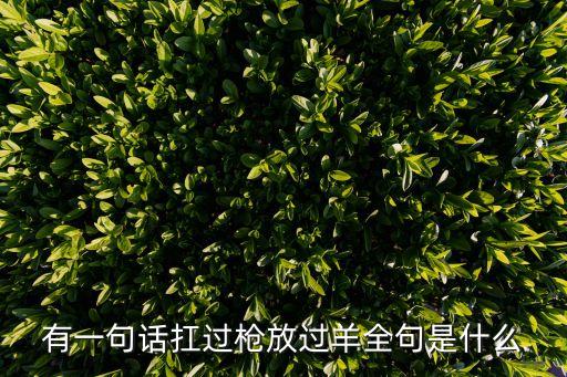 扛过枪放过羊完整版，不如老辈扛过枪下一句