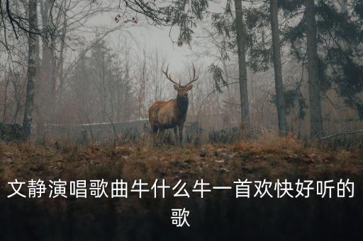 文静演唱歌曲牛什么牛一首欢快好听的歌