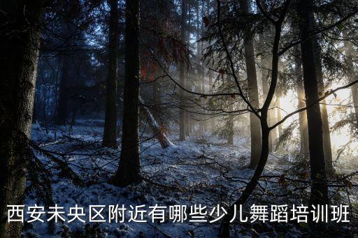 西安未央区舞蹈培训班有多少家，西安未央区附近有哪些少儿舞蹈培训班