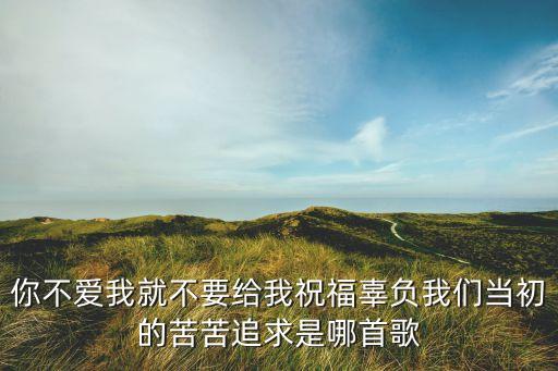 你不爱我就不要给我祝福辜负我们当初的苦苦追求是哪首歌