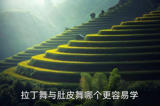拉丁舞和肚皮舞哪个好学，拉丁舞和肚皮舞哪个好学