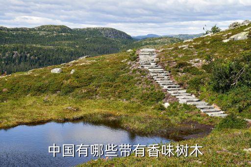 中国有哪些带有香味树木
