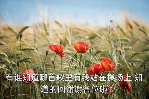 有谁知道哪首歌里有我站在操场上 知道的回谢谢各位啦