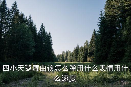 四只小天鹅舞，四小天鹅舞曲的介绍