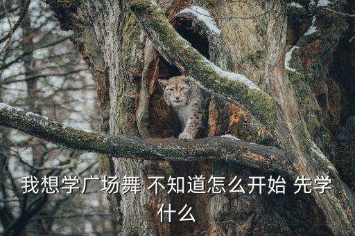 我想学广场舞 不知道怎么开始 先学什么