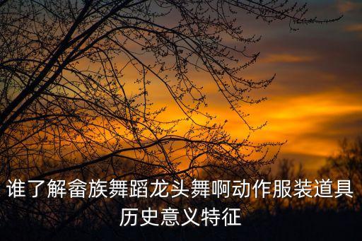 谁了解畲族舞蹈龙头舞啊动作服装道具历史意义特征