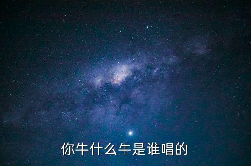 你牛什么牛是谁唱的