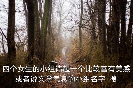 四个女生的小组请起一个比较富有美感或者说文学气息的小组名字  搜