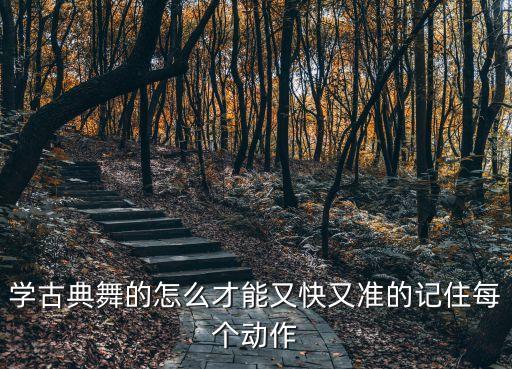 学古典舞的怎么才能又快又准的记住每个动作