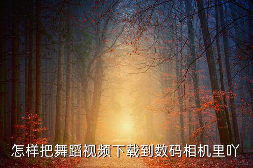 怎样把舞蹈视频下载到数码相机里吖